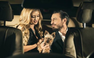 Explore the Best 5 Romantic Cities in Switzerland with a Private Chauffeur This Valentine’s Day